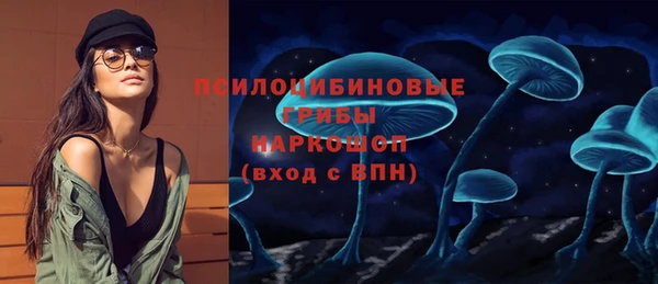 ПСИЛОЦИБИНОВЫЕ ГРИБЫ Иннополис