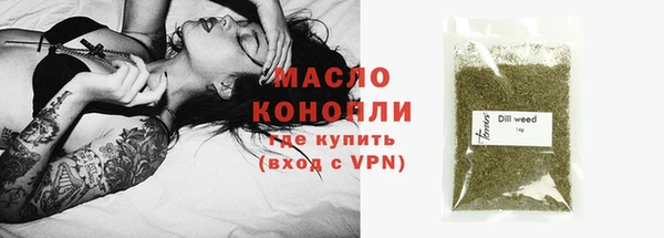 сатива Инсар