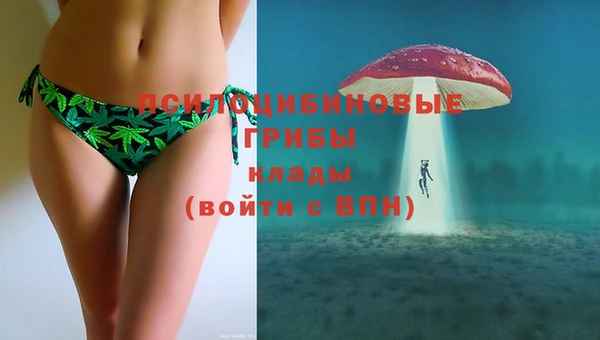 первитин Инта