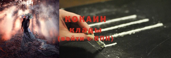 первитин Инта