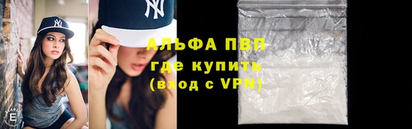ПСИЛОЦИБИНОВЫЕ ГРИБЫ Иннополис