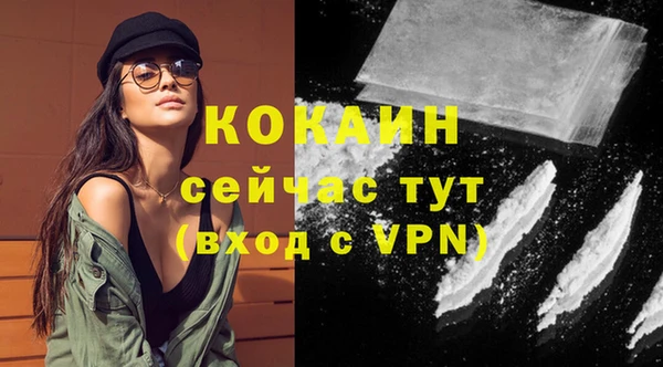 сатива Инсар