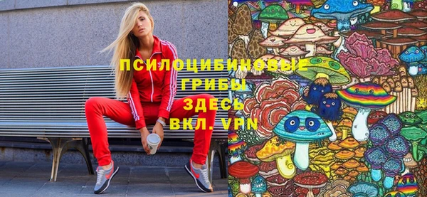 ПСИЛОЦИБИНОВЫЕ ГРИБЫ Иннополис