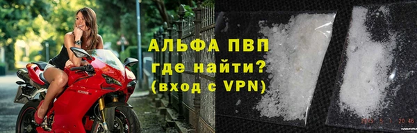 сатива Инсар