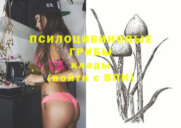 хмурый Касимов