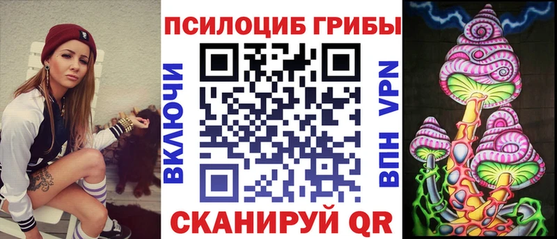 Псилоцибиновые грибы Psilocybe  Купить  Павловский Посад 