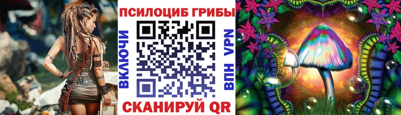 Псилоцибиновые грибы мухоморы Павловский Посад